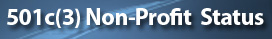 Online Promotion